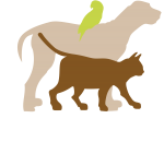 Charleston Animal Society