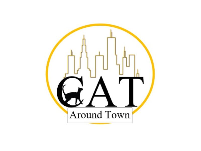 Cat Around Town Project